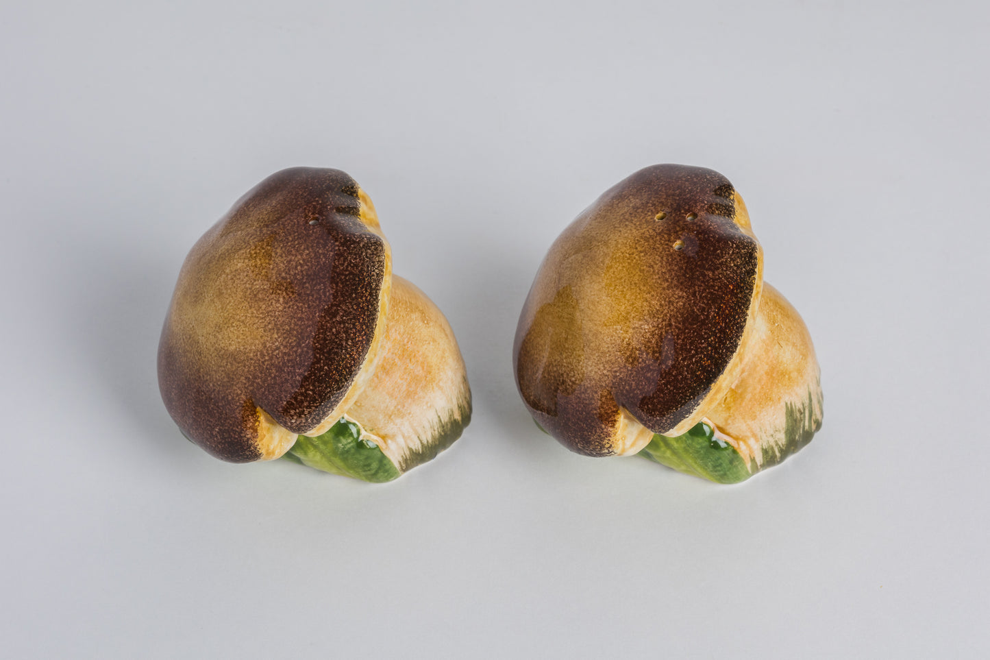 Saliere-Pilze