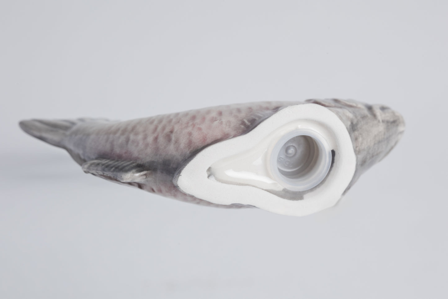 Saliere pesce