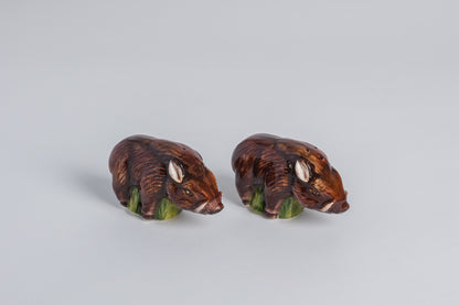 Saliere Cinghiale